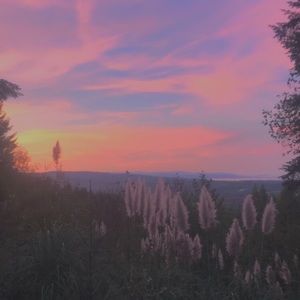 Meet your Posher, Evie june